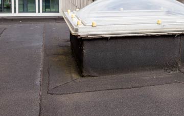 disadvantages of Mesur Y Dorth flat roofs