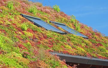 Mesur Y Dorth living roof systems