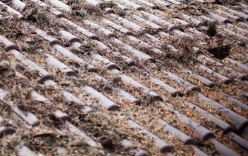 Mesur Y Dorth roof cleaning companies