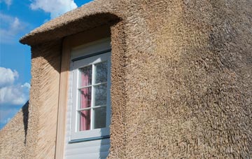 Mesur Y Dorth thatch roof disadvantages
