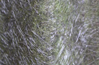 Mesur Y Dorth fibreglass roof work